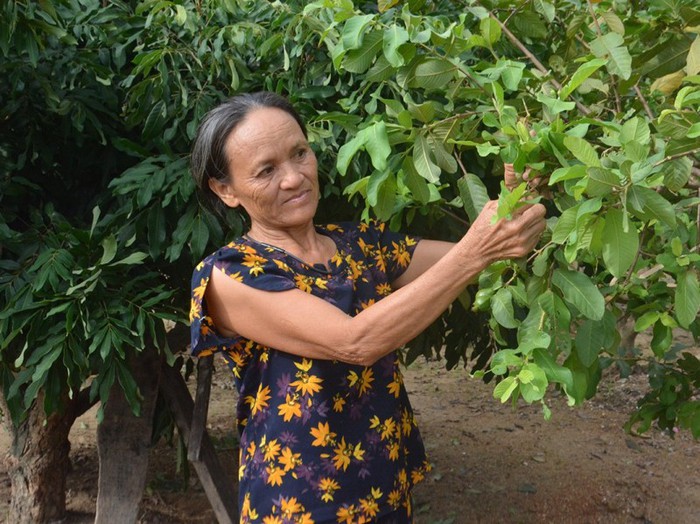Xây dựng gia đình '5 không, 3 sạch' ở Hà Tĩnh: Thay đổi nếp sống bắt đầu từ nếp nghĩ