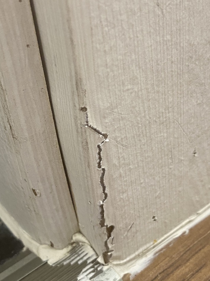 Nhiều vị trí bị bong, tróc...cảnh khó tin ở một căn hộ cao cấp được quảng cáo là 5 sao.