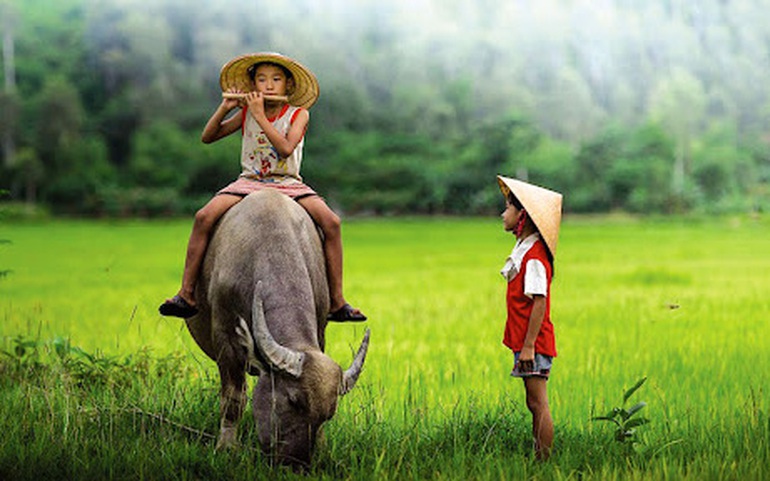 Ảnh minh họa Ảnh minh họa