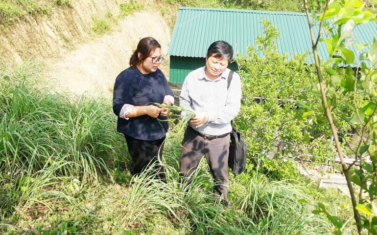 Vi Thùy Dương và cán bộ Hội Nông dân đến thăm  vùng nguyên liệu của HTX Hương Ngàn