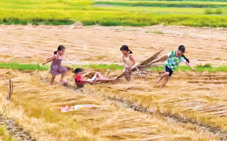 Trẻ em vui đùa trên cánh đồng mùa gặt. Ảnh minh họa