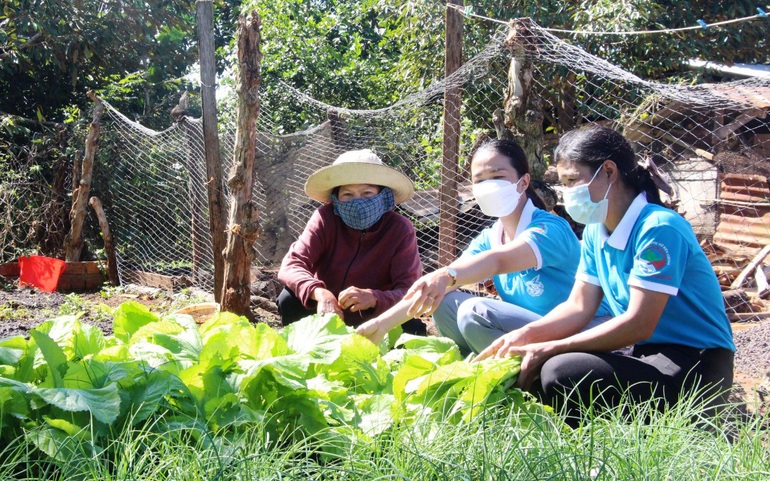 Hướng dẫn hội viên phụ nữ DTTS kỹ thuật trồng rau an toàn.