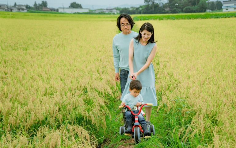 Chị Thuý cùng chồng và con trai dạo chơi trên cánh đồng của gia đình vào mùa lúa chín