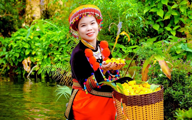 Chị Hà Minh Đợi và sản phẩm trà hoa vàng