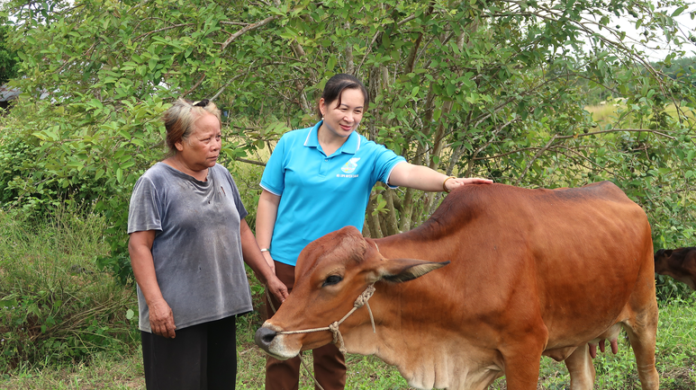 Những đồng tiền nhỏ, những ước mơ lớn của phụ nữ vùng cao Đắk Lắk- Ảnh 1.