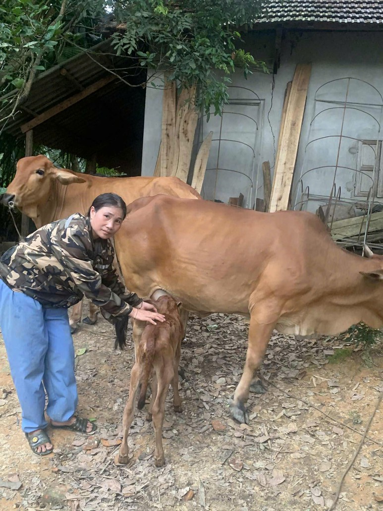 “Bắt sóng” công nghệ để đánh thức du lịch vùng cao Sơn Lâm- Ảnh 1.