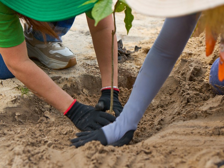 Nữ giám đốc và hành trình gieo mầm xanh, lan tỏa tình yêu thiên nhiên- Ảnh 3.