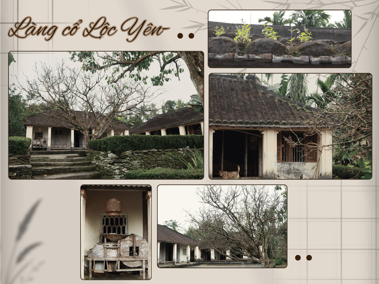 "Dân vận khéo" ở Thạnh Bình: Khi phụ nữ gìn giữ nếp nhà, mở lối sinh kế- Ảnh 1.