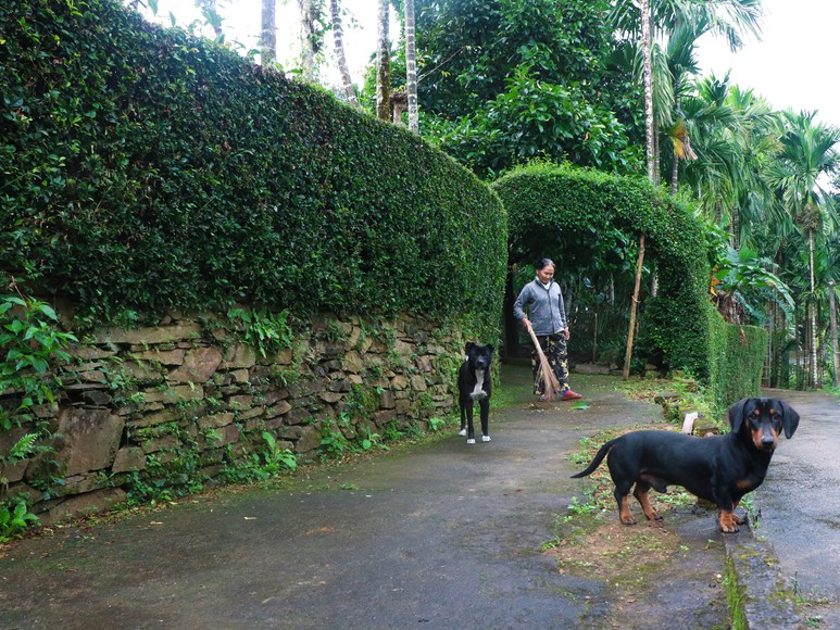 "Dân vận khéo" ở Thạnh Bình: Khi phụ nữ gìn giữ nếp nhà, mở lối sinh kế- Ảnh 18.