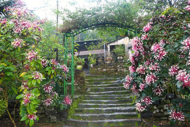 "Dân vận khéo" ở Thạnh Bình: Khi phụ nữ gìn giữ nếp nhà, mở lối sinh kế- Ảnh 3.