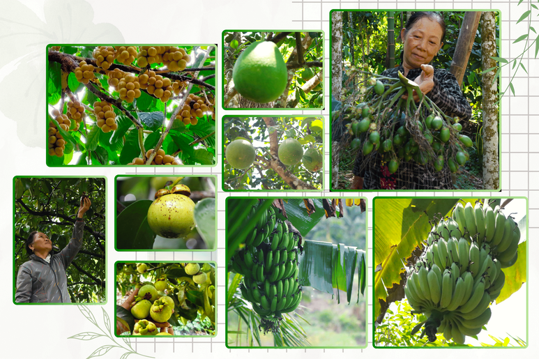 "Dân vận khéo" ở Thạnh Bình: Khi phụ nữ gìn giữ nếp nhà, mở lối sinh kế- Ảnh 14.