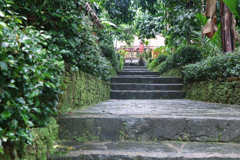 "Dân vận khéo" ở Thạnh Bình: Khi phụ nữ gìn giữ nếp nhà, mở lối sinh kế- Ảnh 15.