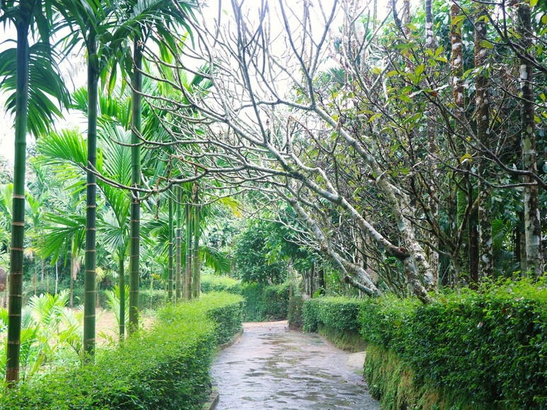 "Dân vận khéo" ở Thạnh Bình: Khi phụ nữ gìn giữ nếp nhà, mở lối sinh kế- Ảnh 6.