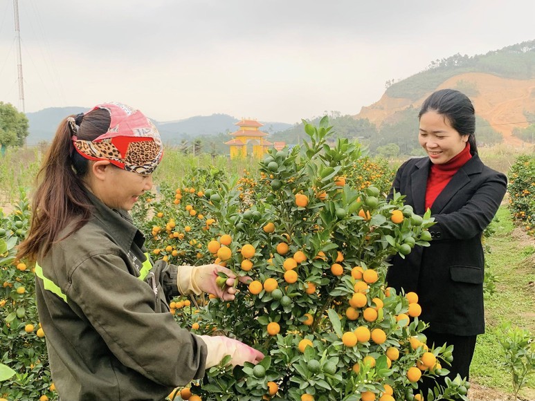 Cùng hội viên, phụ nữ phát triển kinh tế gắn với sản xuất phục vụ Tết - Ảnh 8.