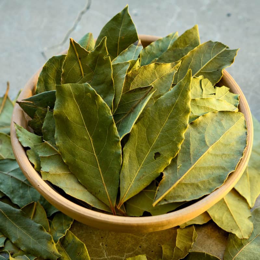 8 lợi &iacute;ch sức khoẻ của l&aacute; nguyệt quế