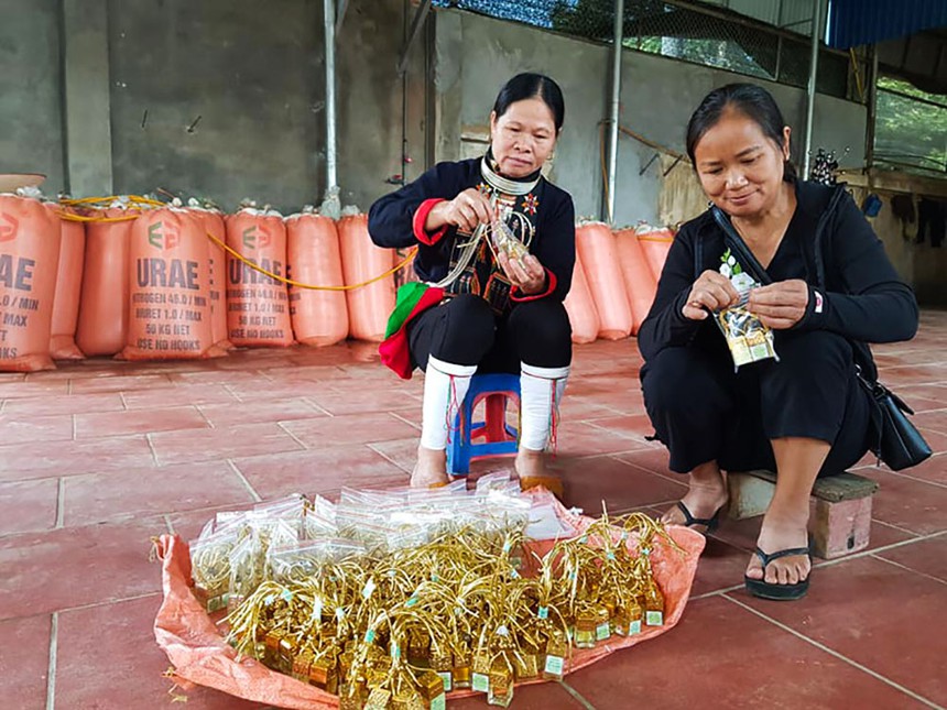 Chuyện về người phụ nữ nâng tầm cây sả ở vùng đất nghèo- Ảnh 5.