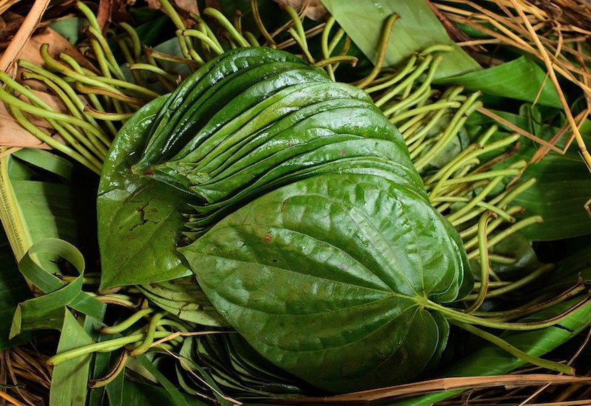 3 loại cây được ví như "thảo dược", hiệu quả trong việc điều trị đau đầu do thay đổi thời tiết - Ảnh 4. 3 loại cây được ví như "thảo dược", hiệu quả trong việc điều trị đau đầu do thay đổi thời tiết - Ảnh 4.
