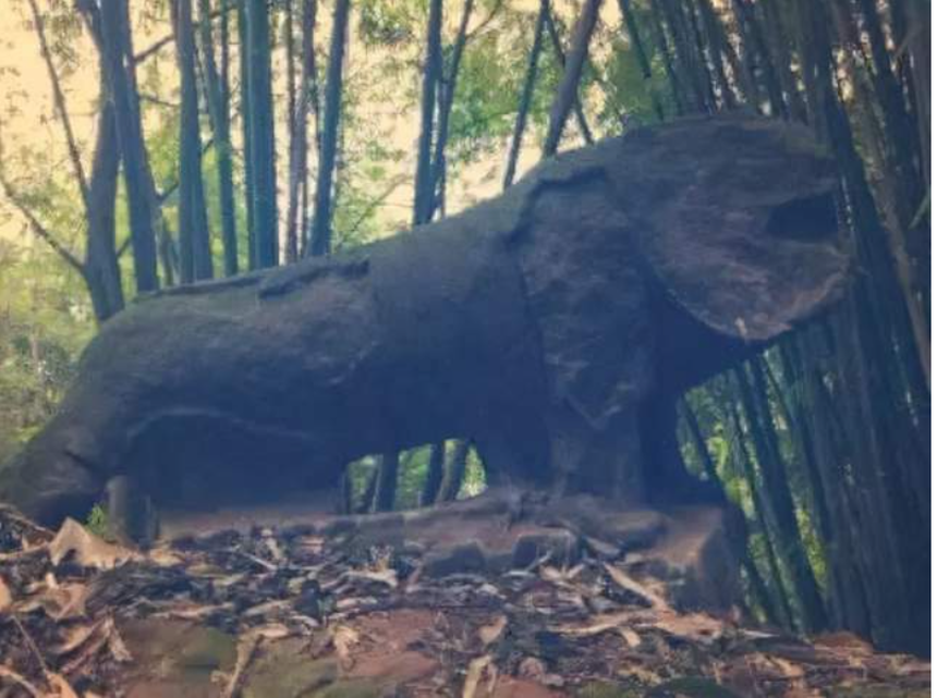 Máy xúc đào trúng khúc gỗ 1m để lộ "cục đá" lạ, chuyên gia lần theo manh mối tìm thấy kho báu trị giá 11.000 tỷ đồng - Ảnh 4.