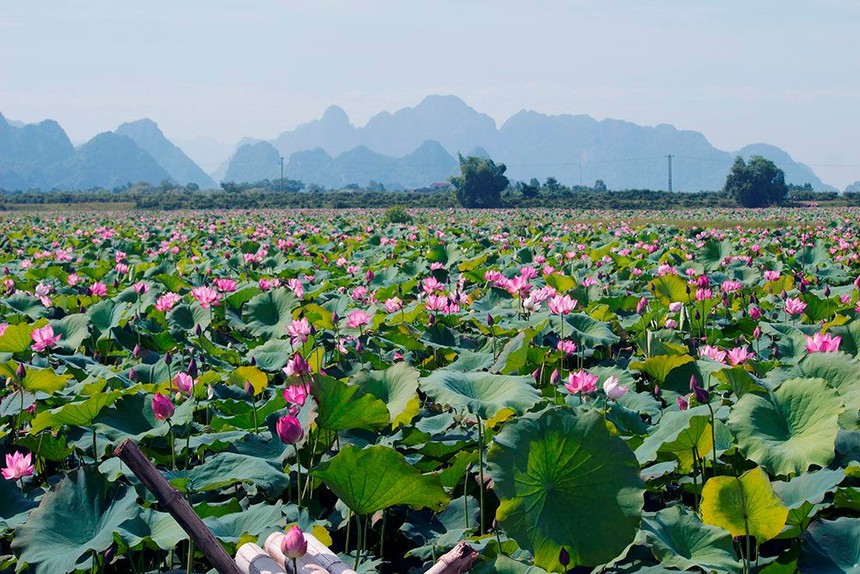 "Bất lực" với bất động sản đô thị lớn, người trẻ về quê mua đất- Ảnh 2.