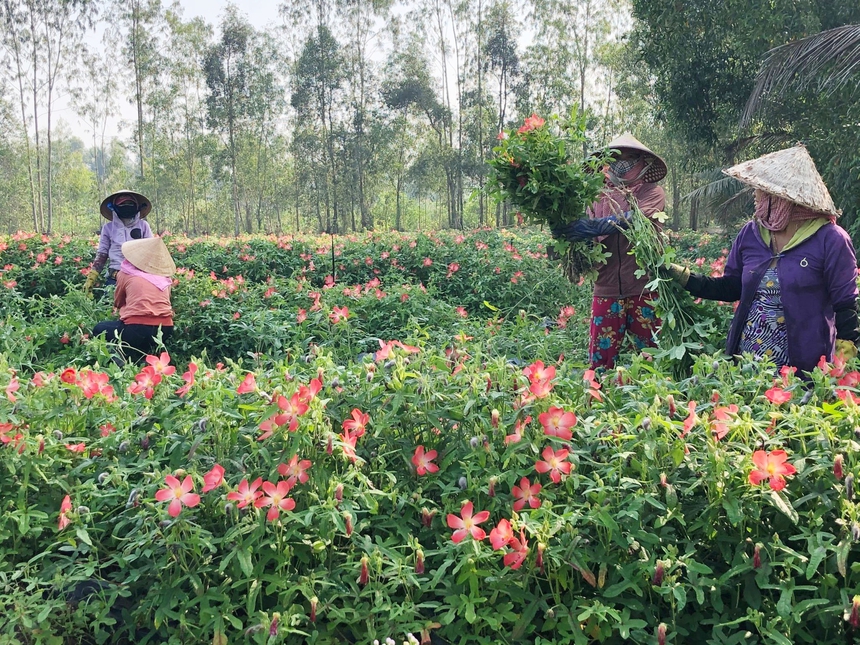 "Để thành công, cần xác định rõ mục đích khởi nghiệp của mình"- Ảnh 1.