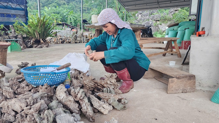 Hòa Bình: “Nghề” lạ tạo nguồn thu cho đồng bào dân tộc Mường- Ảnh 3.