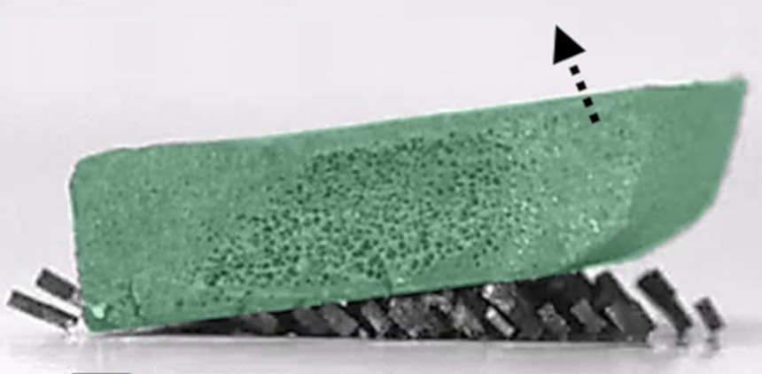 Các nhà khoa học Hàn Quốc phát triển bầy robot lấy cảm hứng từ loài kiến với khả năng làm việc nhóm vô cùng mạnh mẽ!- Ảnh 1. Các nhà khoa học Hàn Quốc phát triển bầy robot lấy cảm hứng từ loài kiến với khả năng làm việc nhóm vô cùng mạnh mẽ!- Ảnh 1.