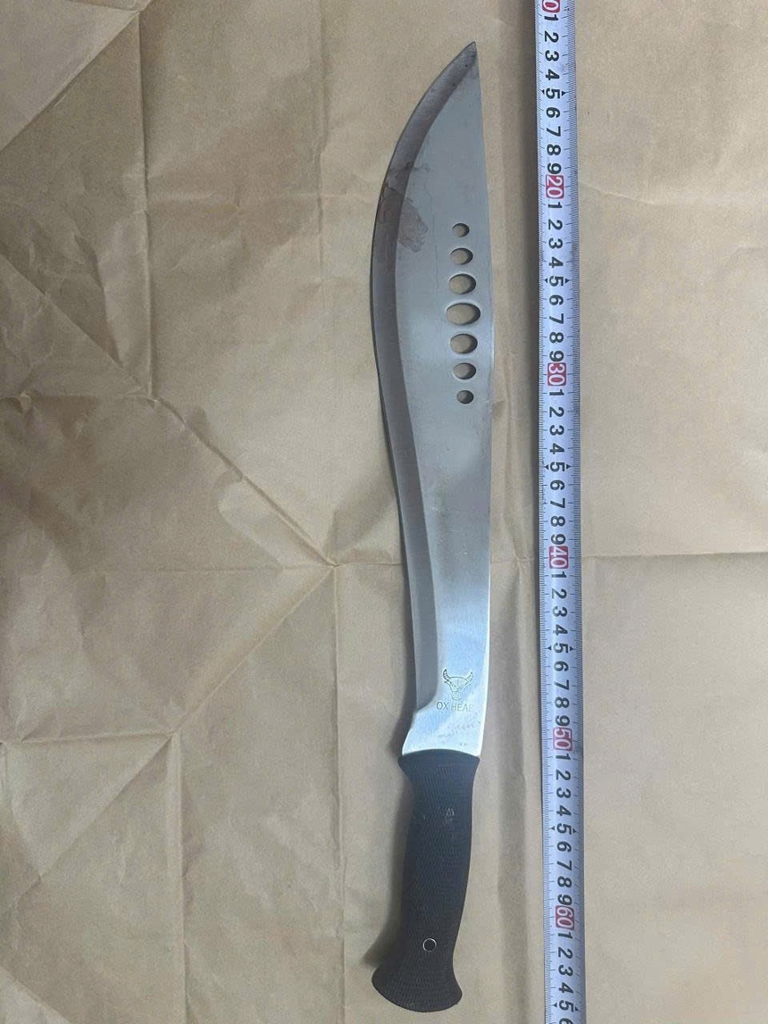Khởi tố 2 bị can vụ cháu thuê người sát hại bà nội ở Hưng Yên- Ảnh 1.