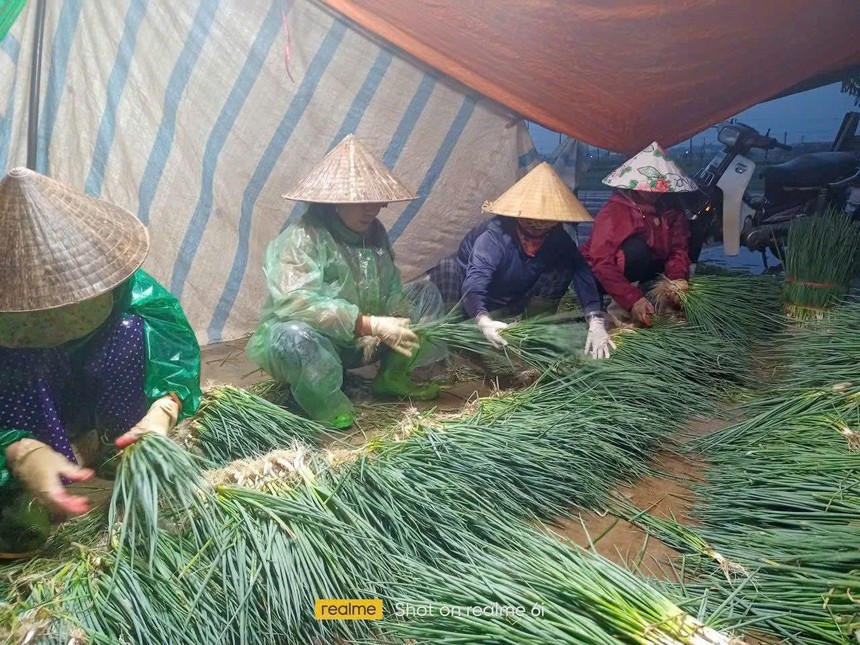 Nghệ An: 400ha rau bị ngập do mưa lớn, dân bán rau non gỡ vốn- Ảnh 3.
