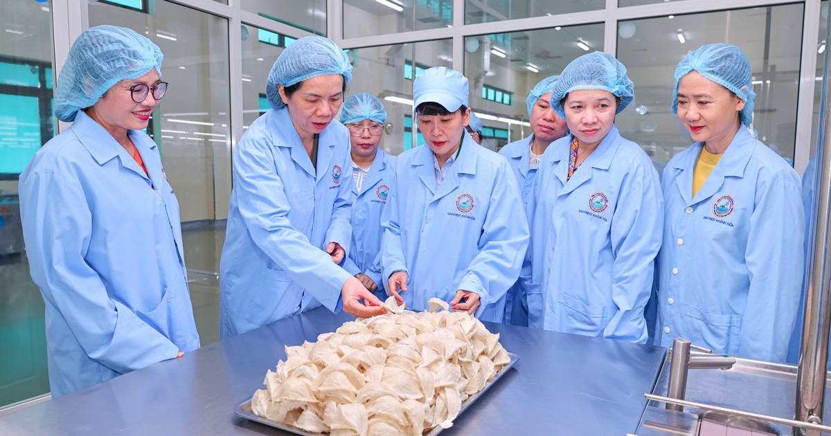 Phó Chủ tịch Hội LHPN Việt Nam Nguyễn Thị Minh Hương thăm và làm việc tại Công ty Yến sào Khánh Hòa