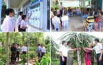 Hội LHPN Việt Nam sát cánh cùng nâng đỡ người nghèo và các đối tượng chính sách 