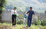 Bình đẳng giới thực chất trong xây dựng nông thôn mới vẫn còn khoảng cách xa với các tiêu chí đạt được
