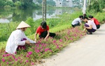 Hưng Yên: Hơn 100km đường hoa khoe sắc chào mừng 90 năm thành lập Hội