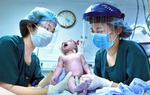 Hình ảnh Việt Nam chống đại dịch Covid-19 xuất hiện tại Quảng trường Thời đại Mỹ