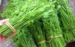 Loại rau tên nghe đã “bốc mùi” nhưng là đặc sản Lạng Sơn, ai ăn được thì lại nghiện