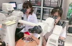 Mang hy vọng đến cho người hiếm muộn
