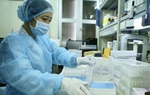 Ghi nhận 8 ca mới nhiễm Covid-19, trong đó có 3 trẻ nhỏ