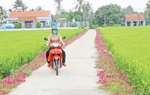 Phụ nữ Long An chung sức xây dựng nông thôn mới