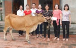 Đa dạng hoạt động thi đua chào mừng Đại hội Đảng các cấp của phụ nữ Vĩnh Phúc