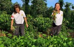 Mê ăn rau rừng, nào ngờ H'Hen Niê đẹp bên ngoài lẫn khỏe bên trong