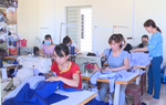 Những phụ nữ đơn thân vươn lên làm giàu, tạo việc làm cho nhiều hội viên
