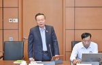 Cần quan tâm tới an toàn giao thông cho người đi bộ