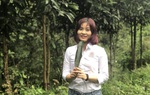 Giúp phụ nữ Lào Cai, Yên Bái làm giàu từ cây quế