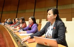 Luật Bảo vệ môi trường (sửa đổi): Tính phí thu gom, vận chuyển và xử lý chất thải rắn sinh hoạt từ hộ gia đình