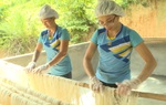 Đến năm 2025: Thành lập mới 10.000 tổ chức kinh tế tập thể 