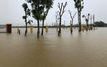 Nghệ An: Phát hiện thi thể 2 bé gái trên đồng ruộng