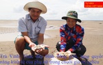 Trà Vinh: Thúc đẩy bình đẳng giới, tăng quyền năng kinh tế của phụ nữ trong chuỗi giá trị nghêu