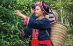 Thúc đẩy phát triển sản phẩm chế biến nông sản sinh thái - công bằng
