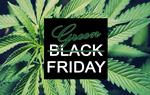 Hãy mua những gì bạn cần, đừng mua vì giá rất rẻ... trong ngày Black Friday