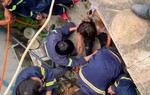 Lâm Đồng: Cứu sống 1 phụ nữ rơi xuống giếng sâu 25m