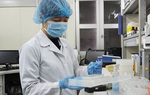 Phú Yên ghi nhận 4 trường hợp nhập cảnh nhiễm COVID-19
